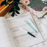 Amen | 5 Week Study | The Story of Scripture from Eden to Eternity