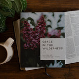 Grace In The Wilderness Bible Study