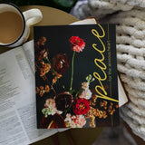 Peace Bible Study