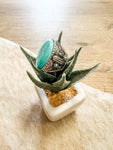 Oval Turq Stone Cactus Ring