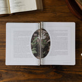 Peaks and Valleys: Learning to Look to Christ in Life's Highs and Lows | A Study on the Life of David